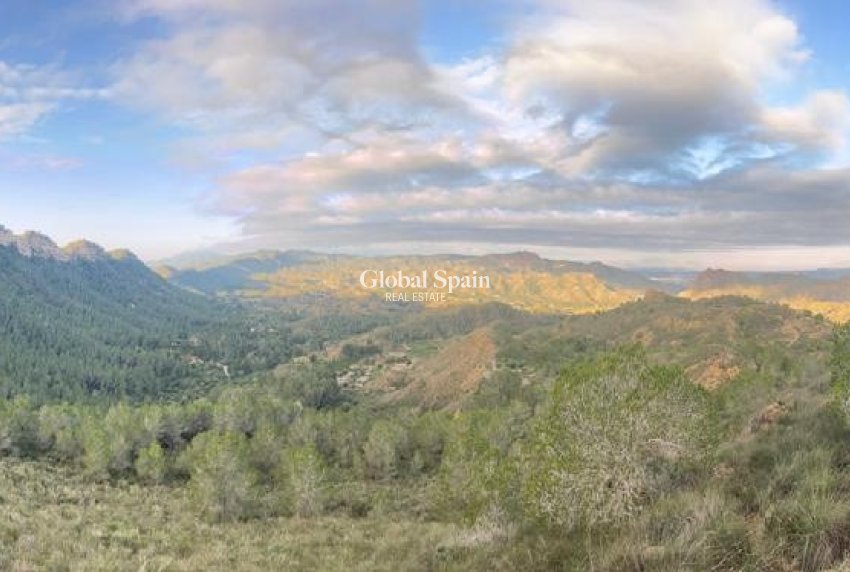 Revente - MAISON -
GEA Y TRUYOLS - Inland