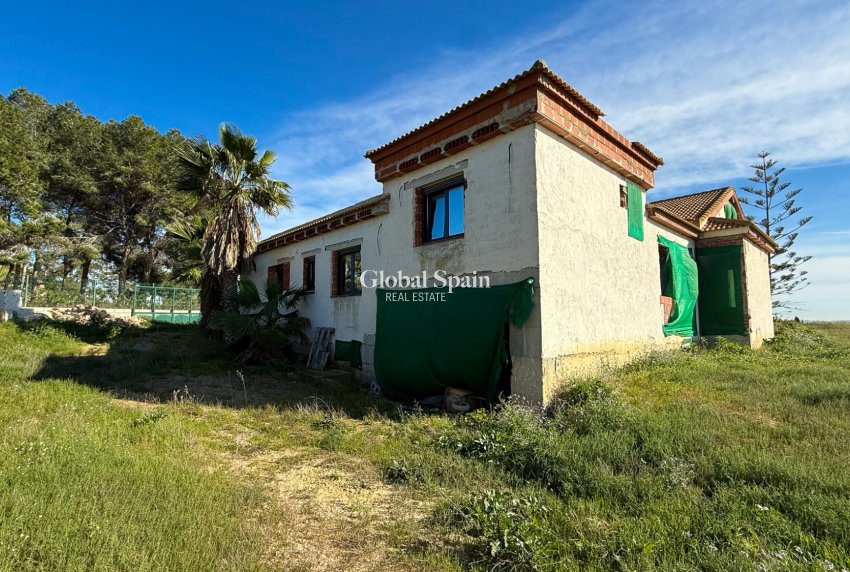 Revente - MAISON -
GUARDAMAR DEL SEGURA
