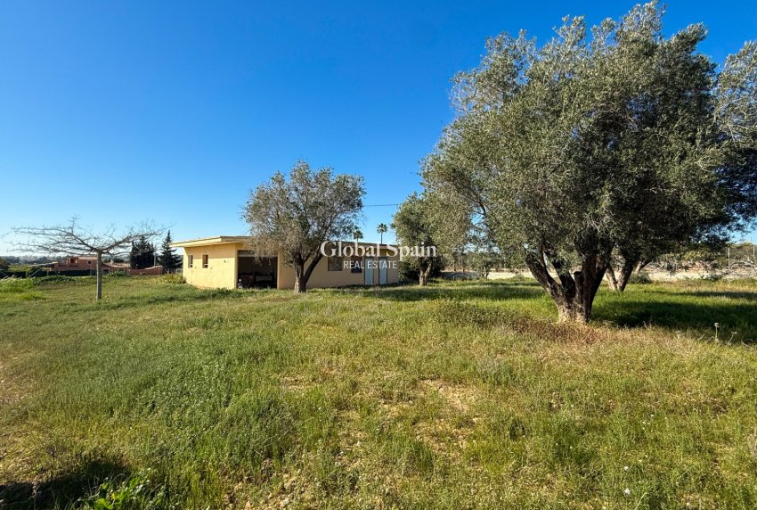 Revente - MAISON -
GUARDAMAR DEL SEGURA