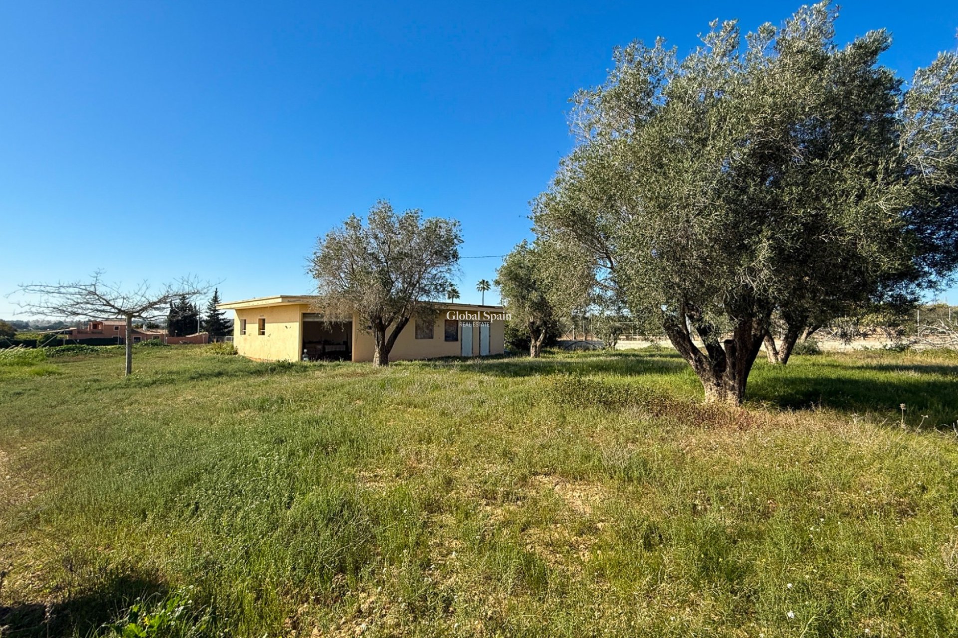 Revente - MAISON -
GUARDAMAR DEL SEGURA
