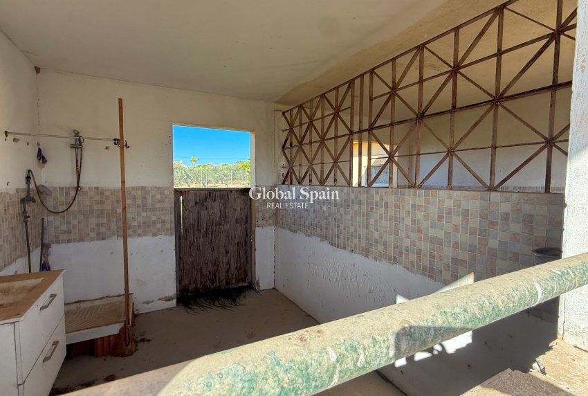 Revente - MAISON -
GUARDAMAR DEL SEGURA