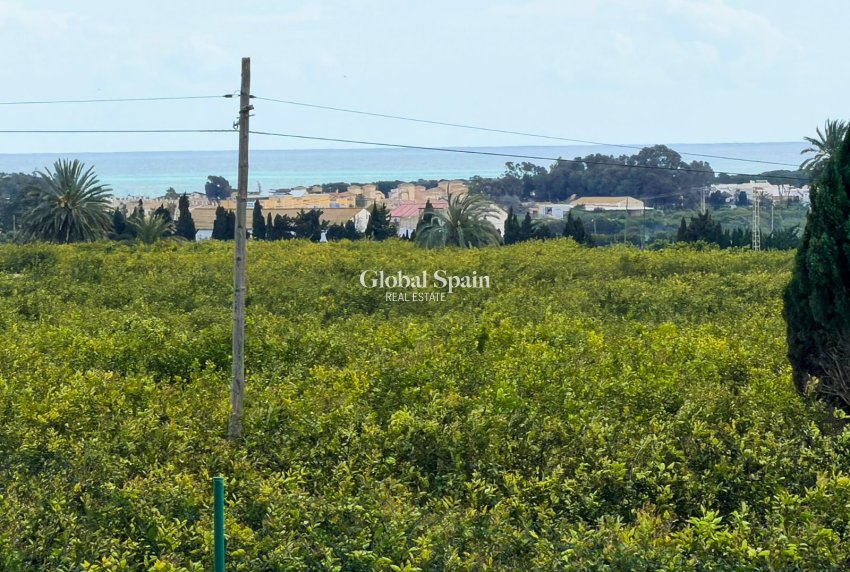 Revente - MAISON -
GUARDAMAR DEL SEGURA
