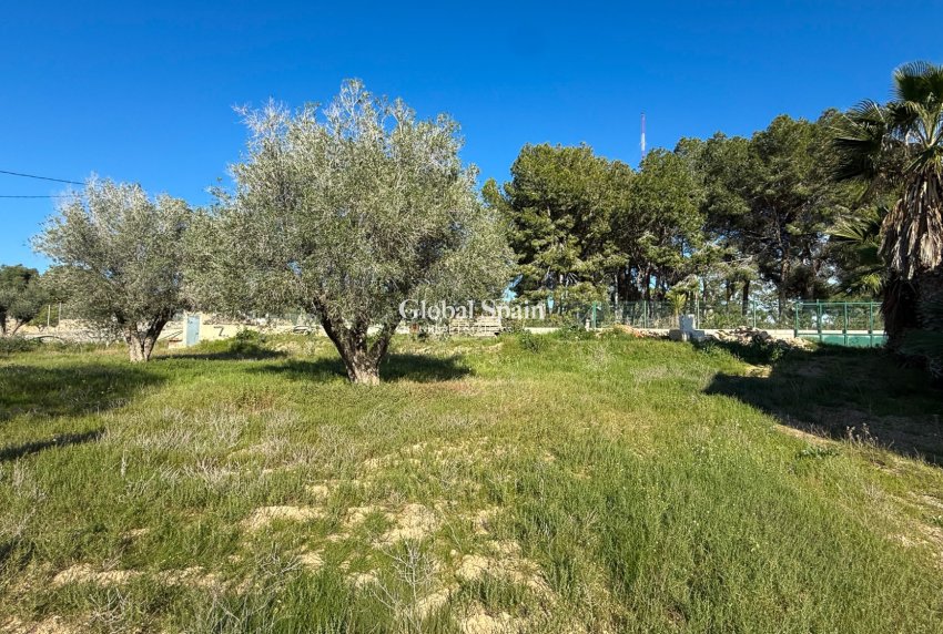 Revente - MAISON -
GUARDAMAR DEL SEGURA