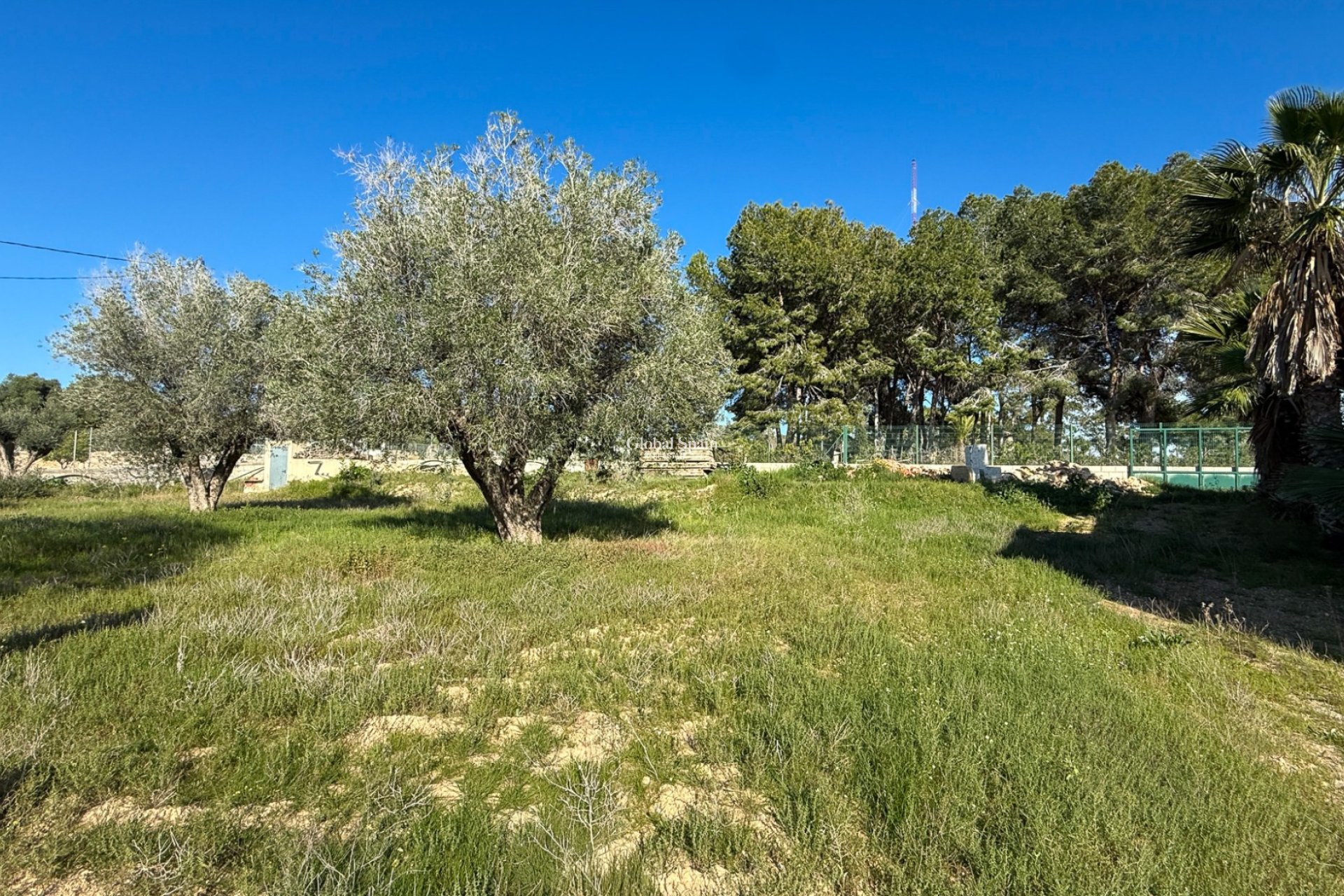 Revente - MAISON -
GUARDAMAR DEL SEGURA