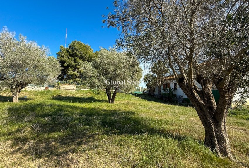 Revente - MAISON -
GUARDAMAR DEL SEGURA