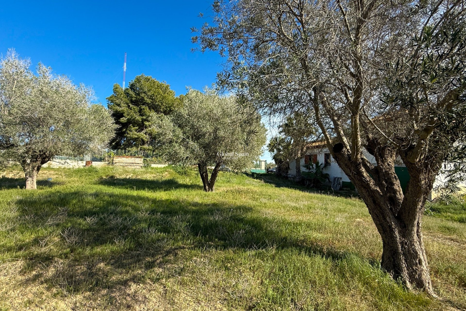 Revente - MAISON -
GUARDAMAR DEL SEGURA