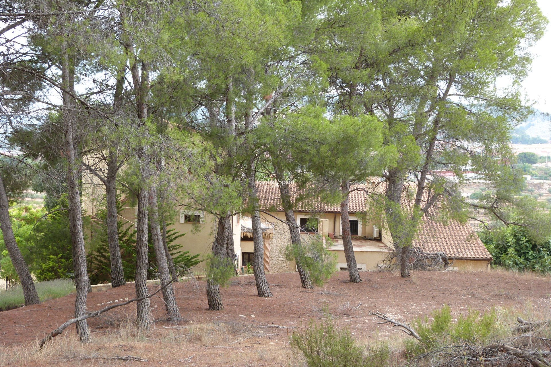 Revente - MAISON -
Ibi - Ibi - Country