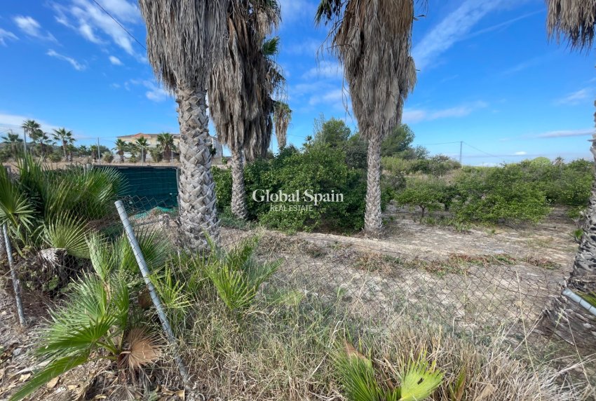 Revente - MAISON -
JACARILLA - Inland