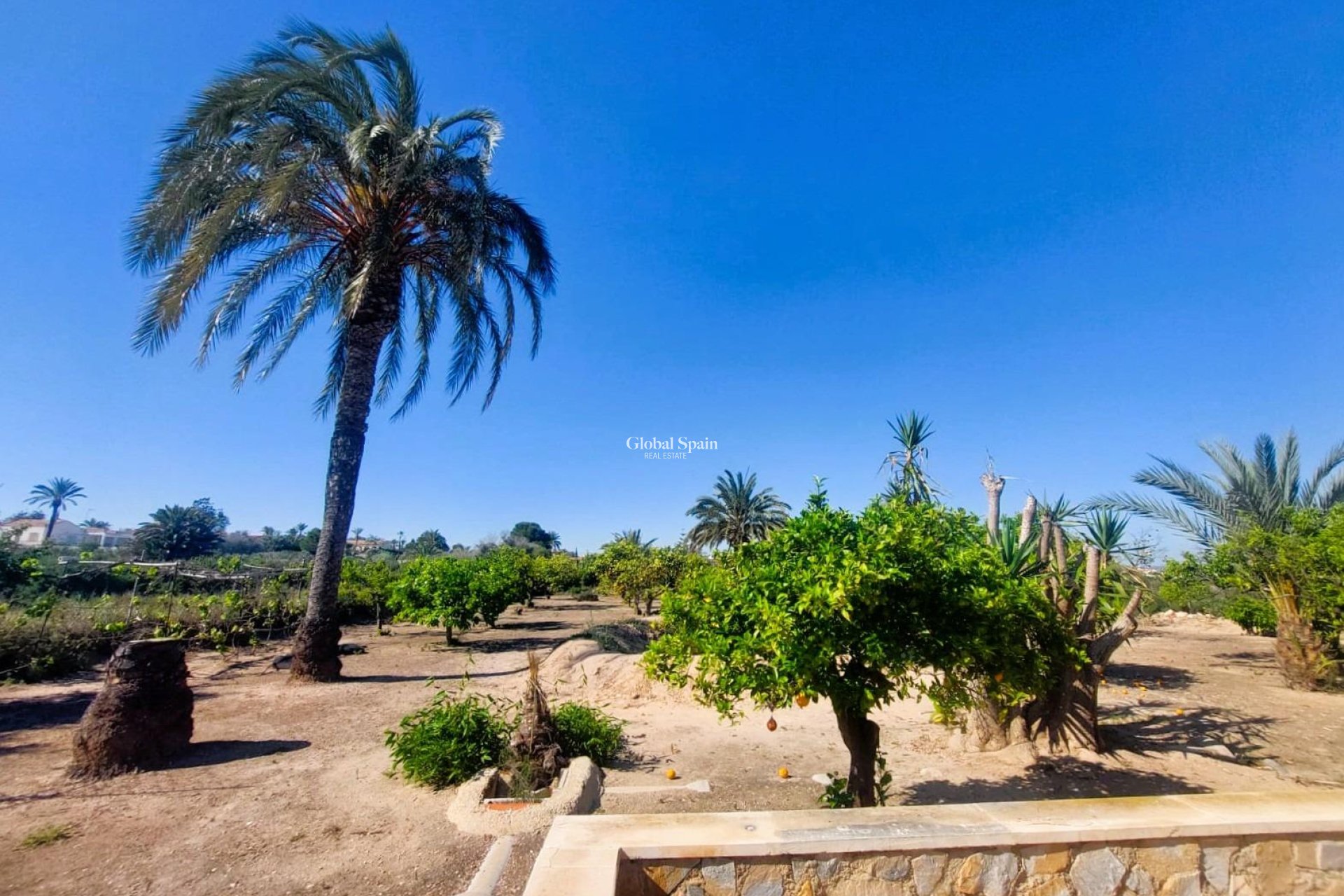 Revente - MAISON -
LA MARINA - Costa Blanca