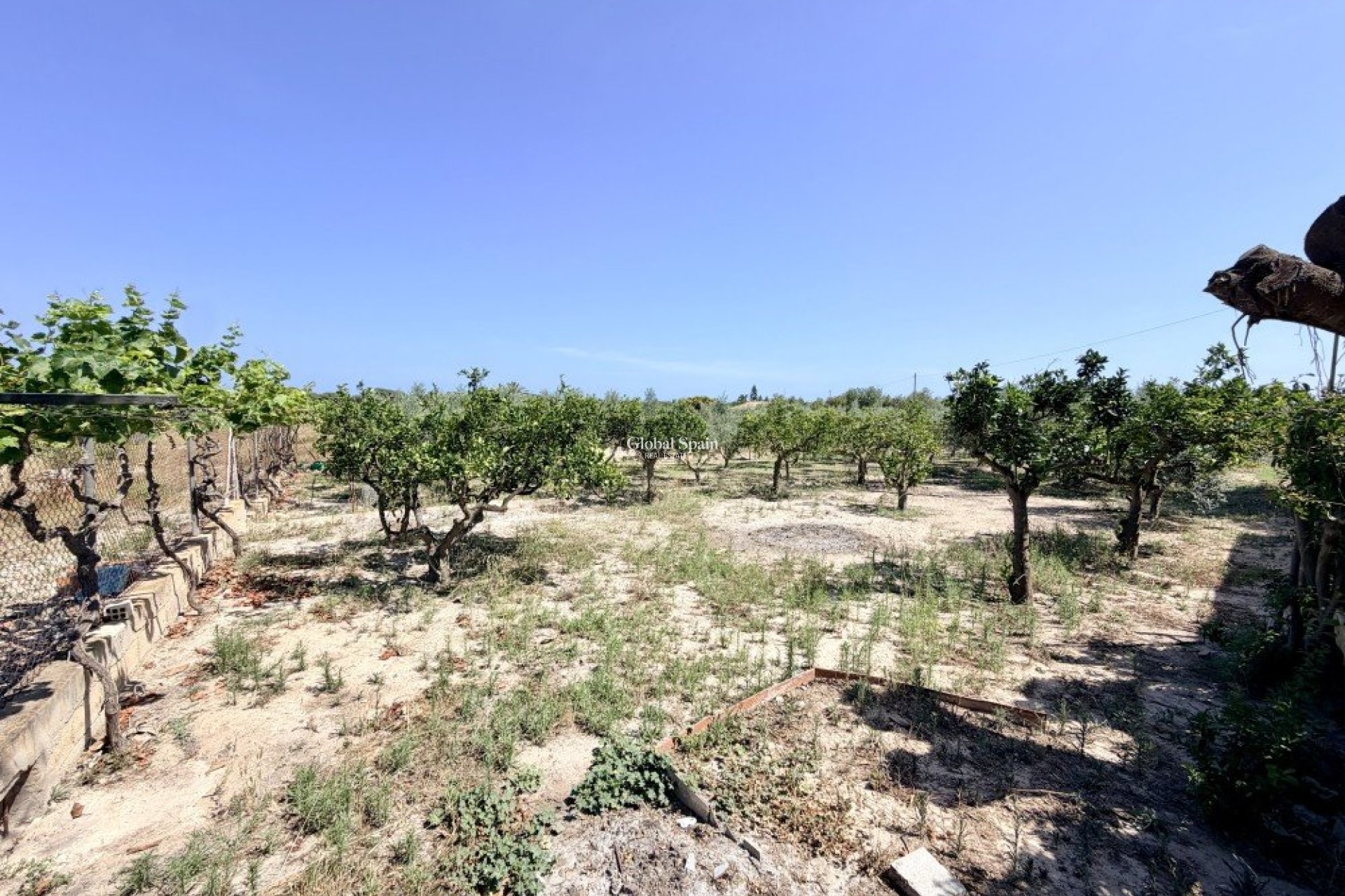Revente - MAISON -
LA MARINA - Costa Blanca