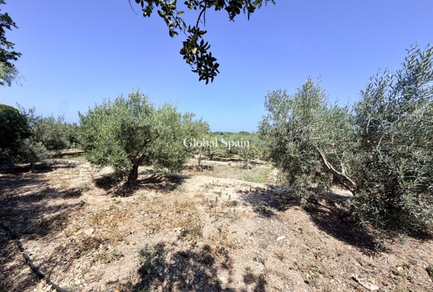 Revente - MAISON -
LA MARINA - Costa Blanca