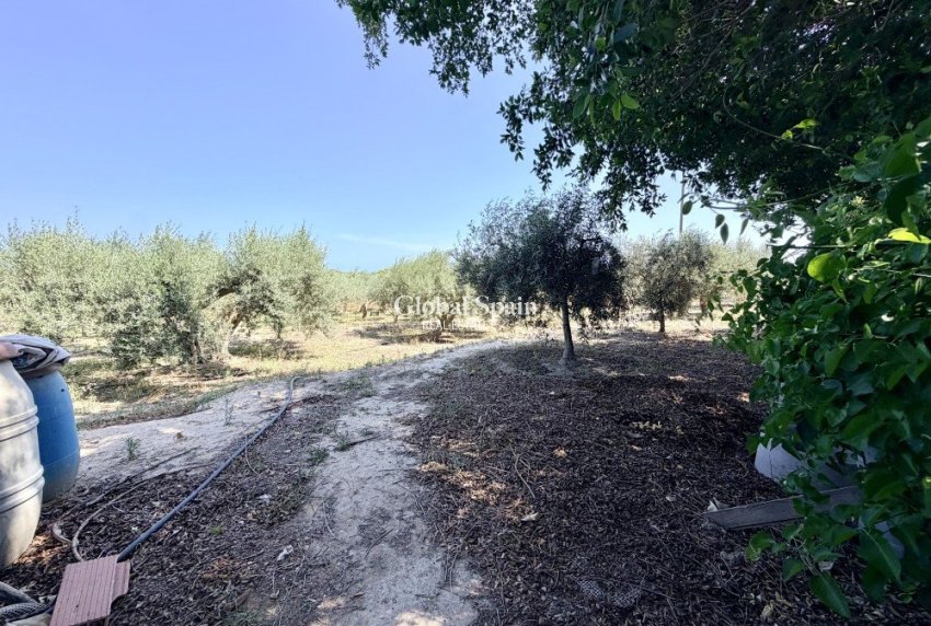 Revente - MAISON -
LA MARINA - Costa Blanca