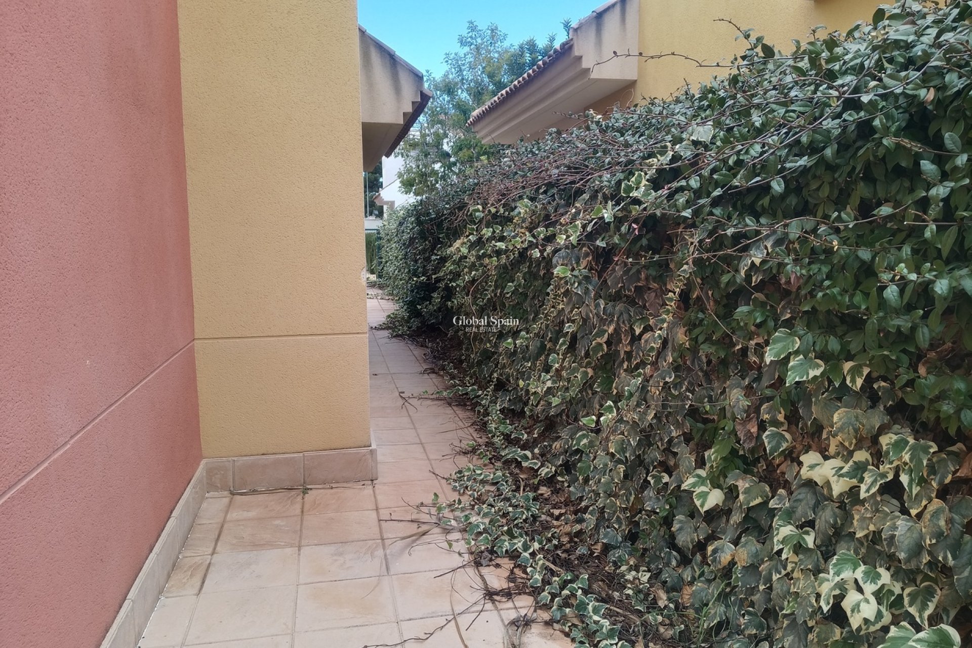 Revente - MAISON -
LA TERCIA - Inland