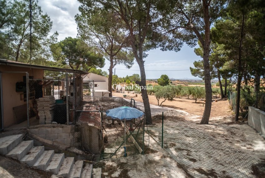 Revente - MAISON -
LA TERCIA - La Tercia