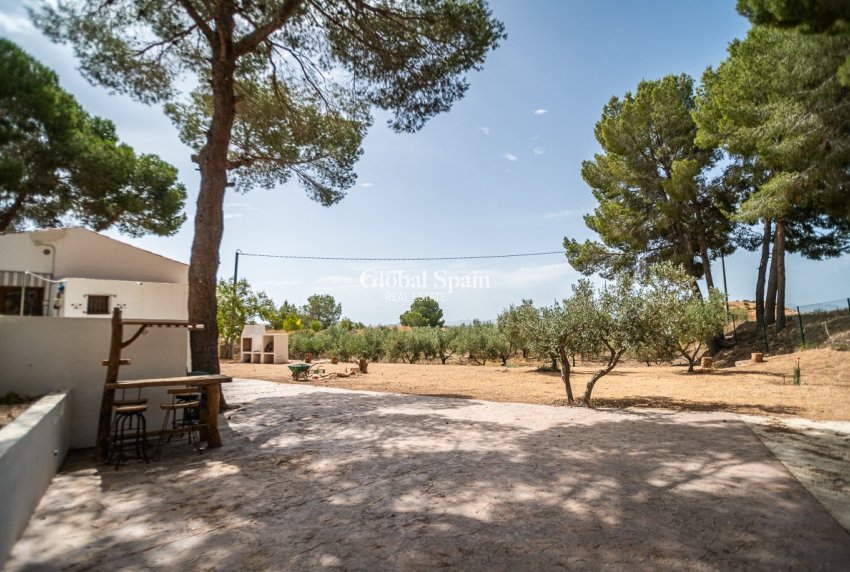 Revente - MAISON -
LA TERCIA - La Tercia