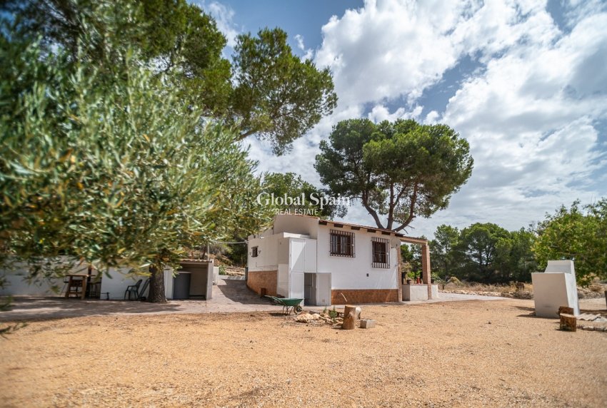 Revente - MAISON -
LA TERCIA - La Tercia