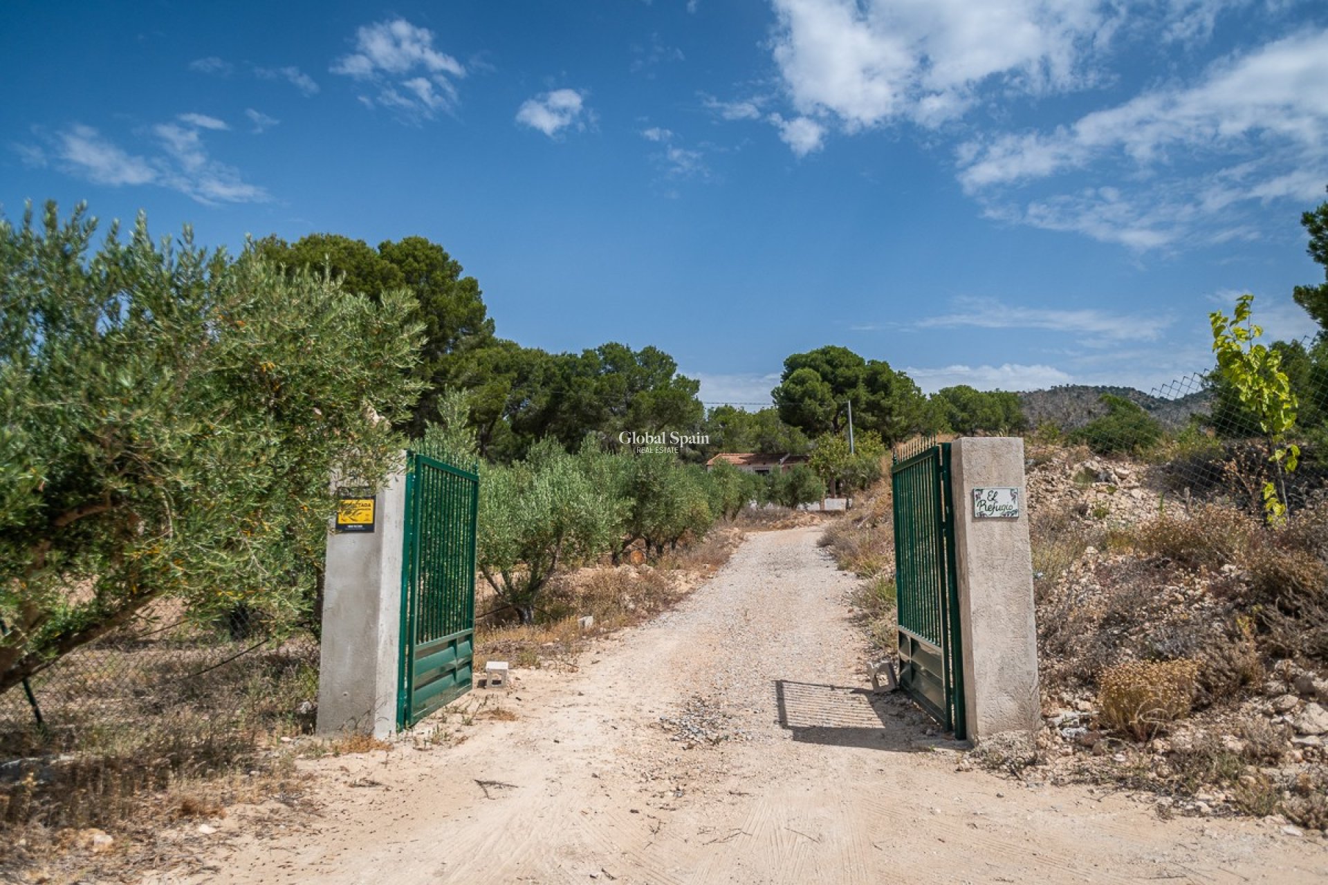 Revente - MAISON -
LA TERCIA - La Tercia