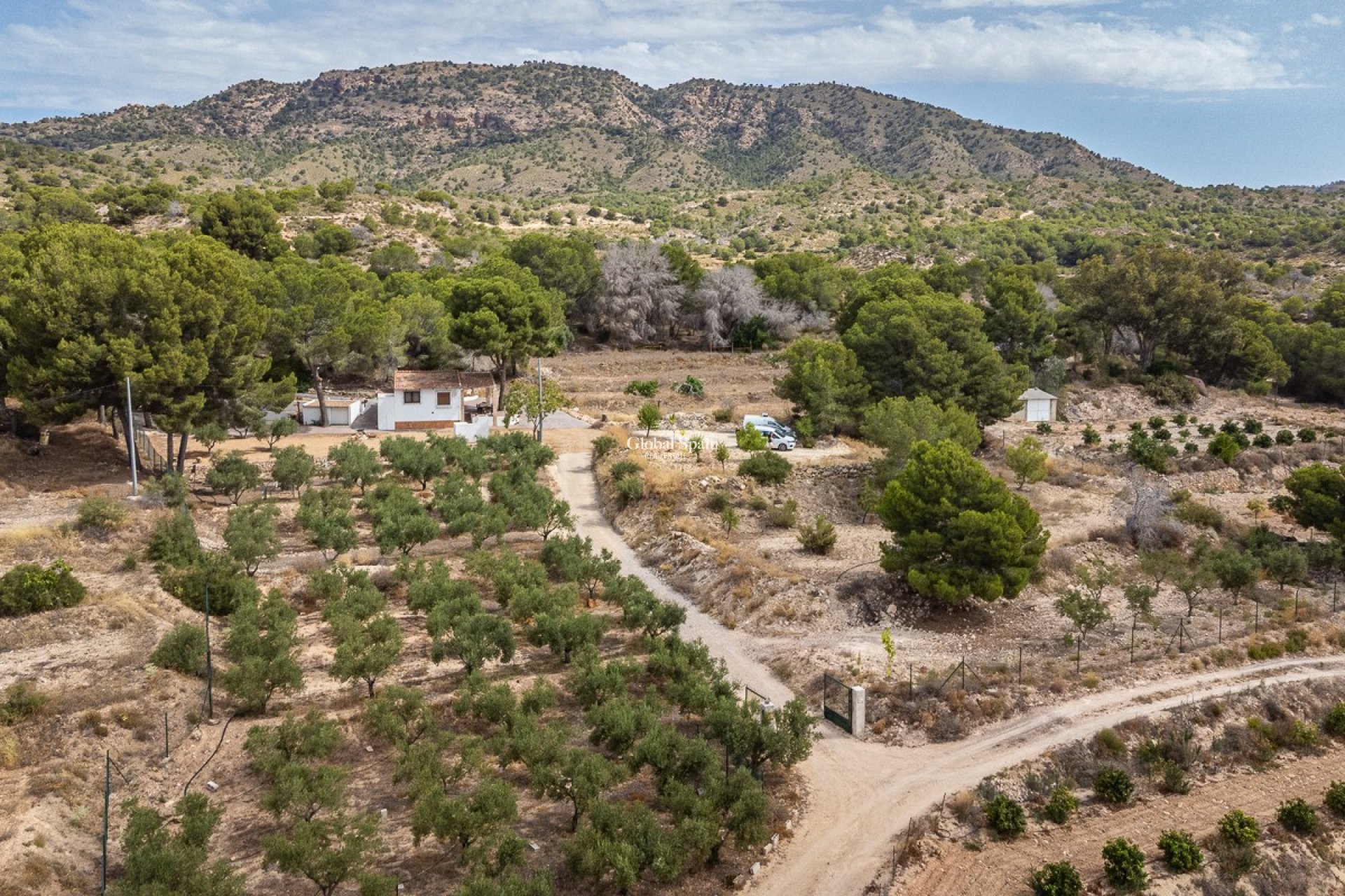 Revente - MAISON -
LA TERCIA - La Tercia