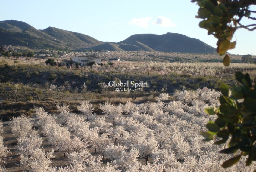 Revente - MAISON -
LORCA - Costa Calida
