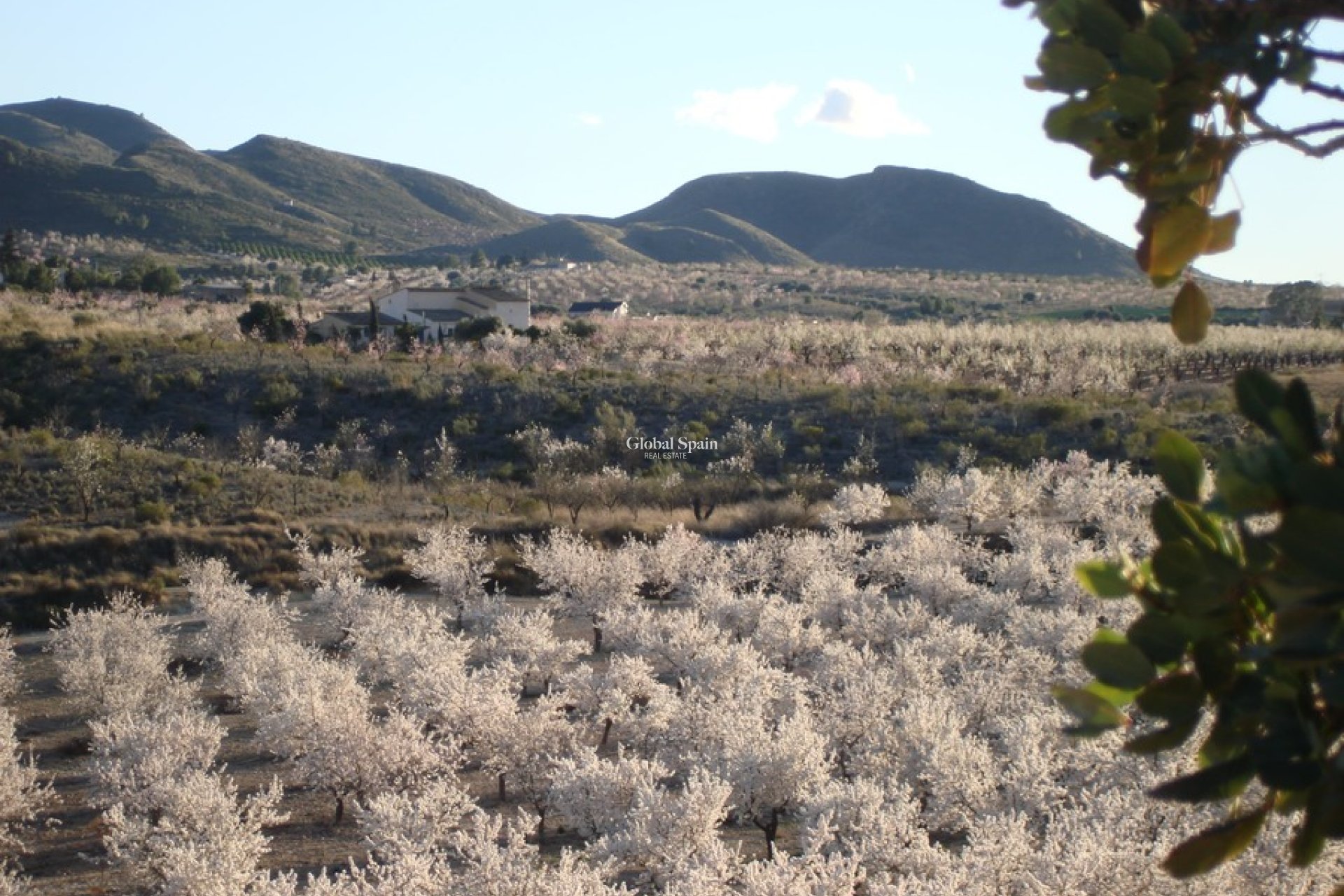 Revente - MAISON -
LORCA - Costa Calida
