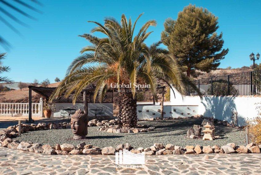 Revente - MAISON -
LORCA - Lorca