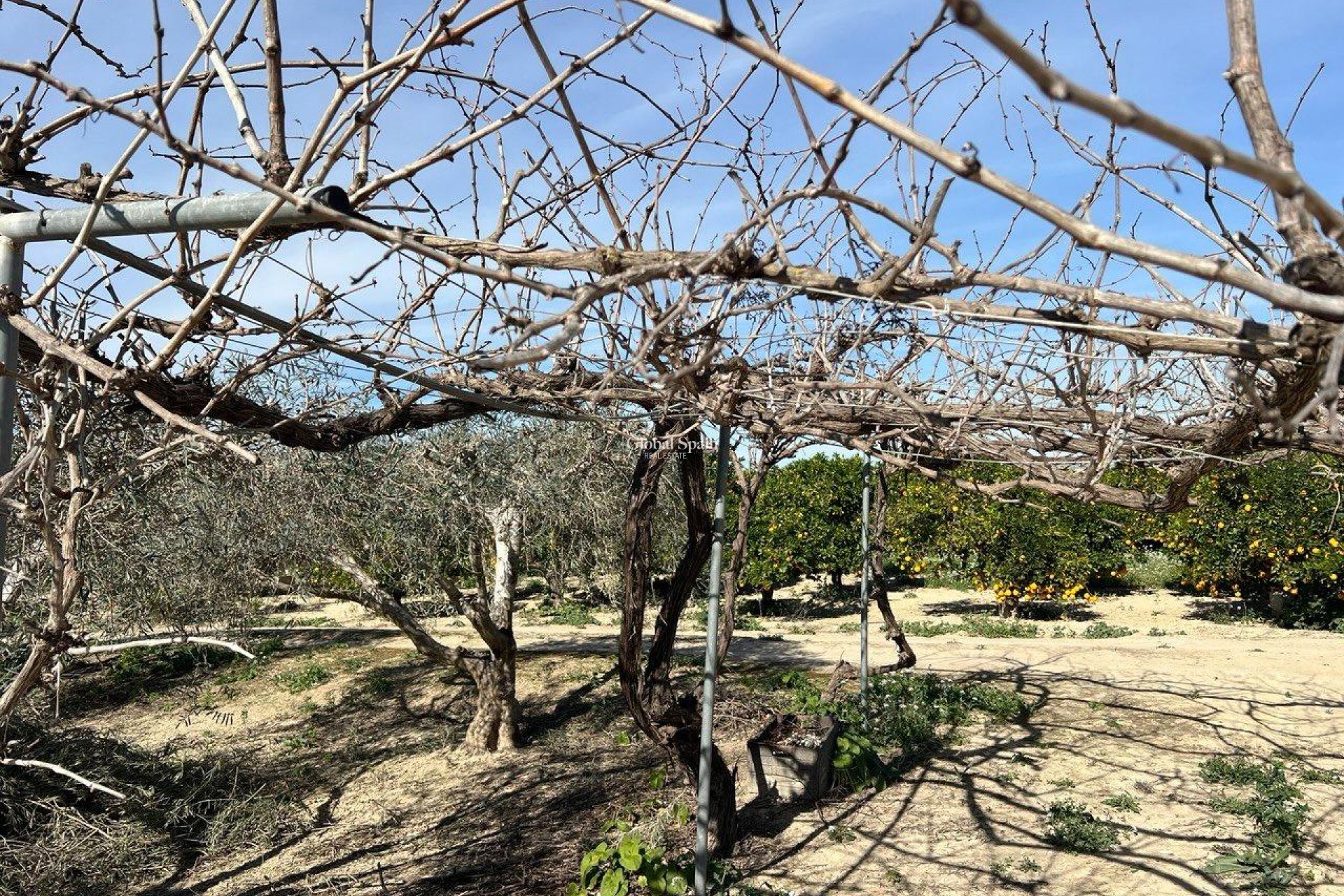 Revente - MAISON -
LOS MONTESINOS - Comunidad Valenciana