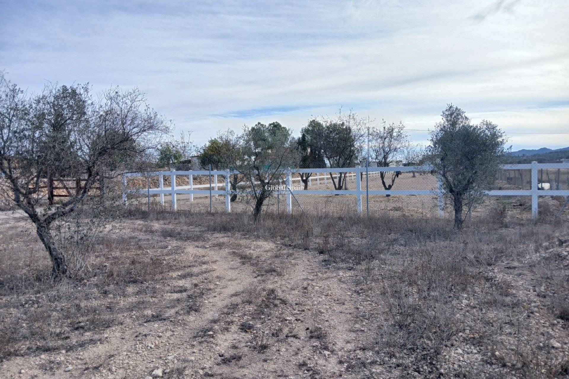 Revente - MAISON -
MONÓVAR - Inland