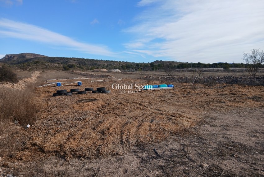 Revente - MAISON -
MONÓVAR - Inland