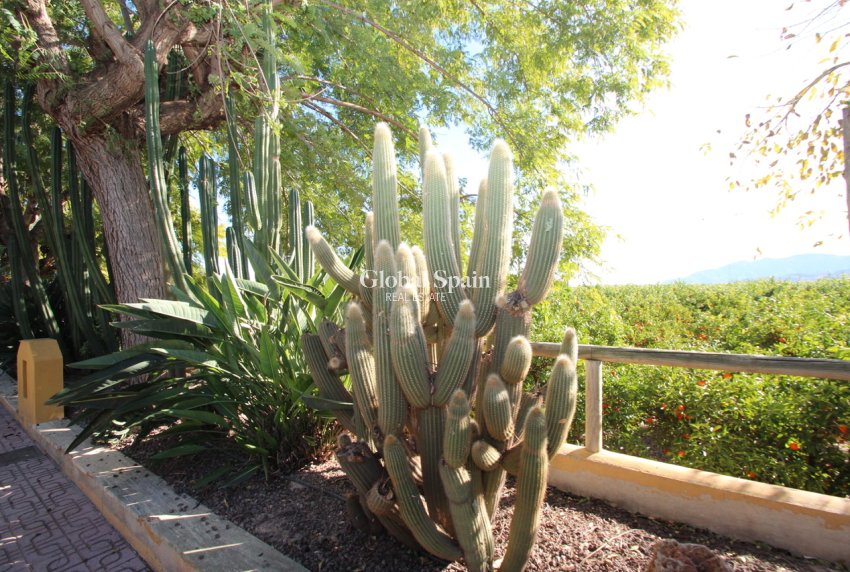 Revente - MAISON -
MURCIA - Costa Blanca Sur