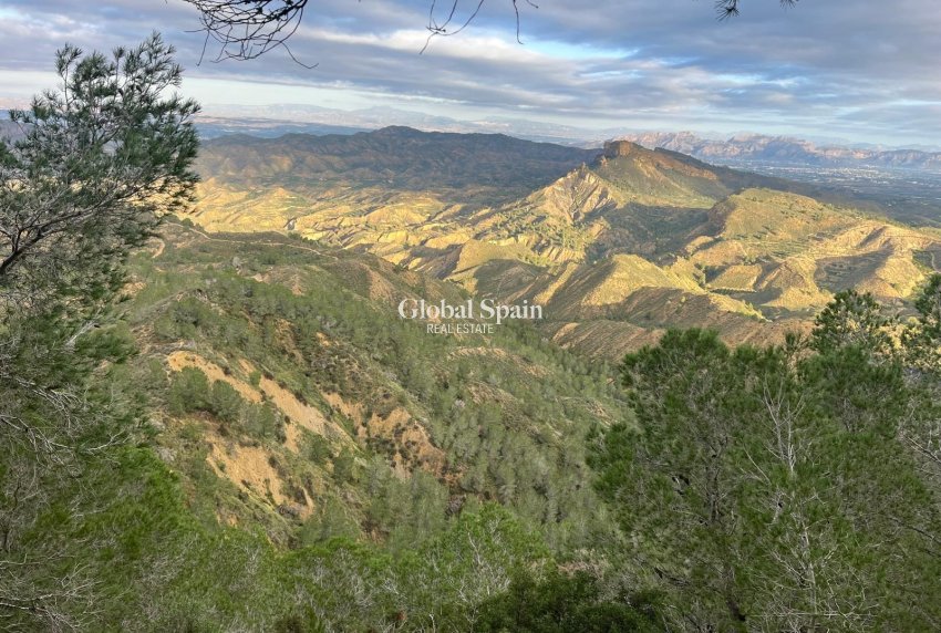 Revente - MAISON -
MURCIA - Inland