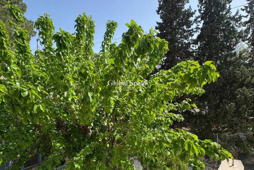 Revente - MAISON -
ORIHUELA - Arneva