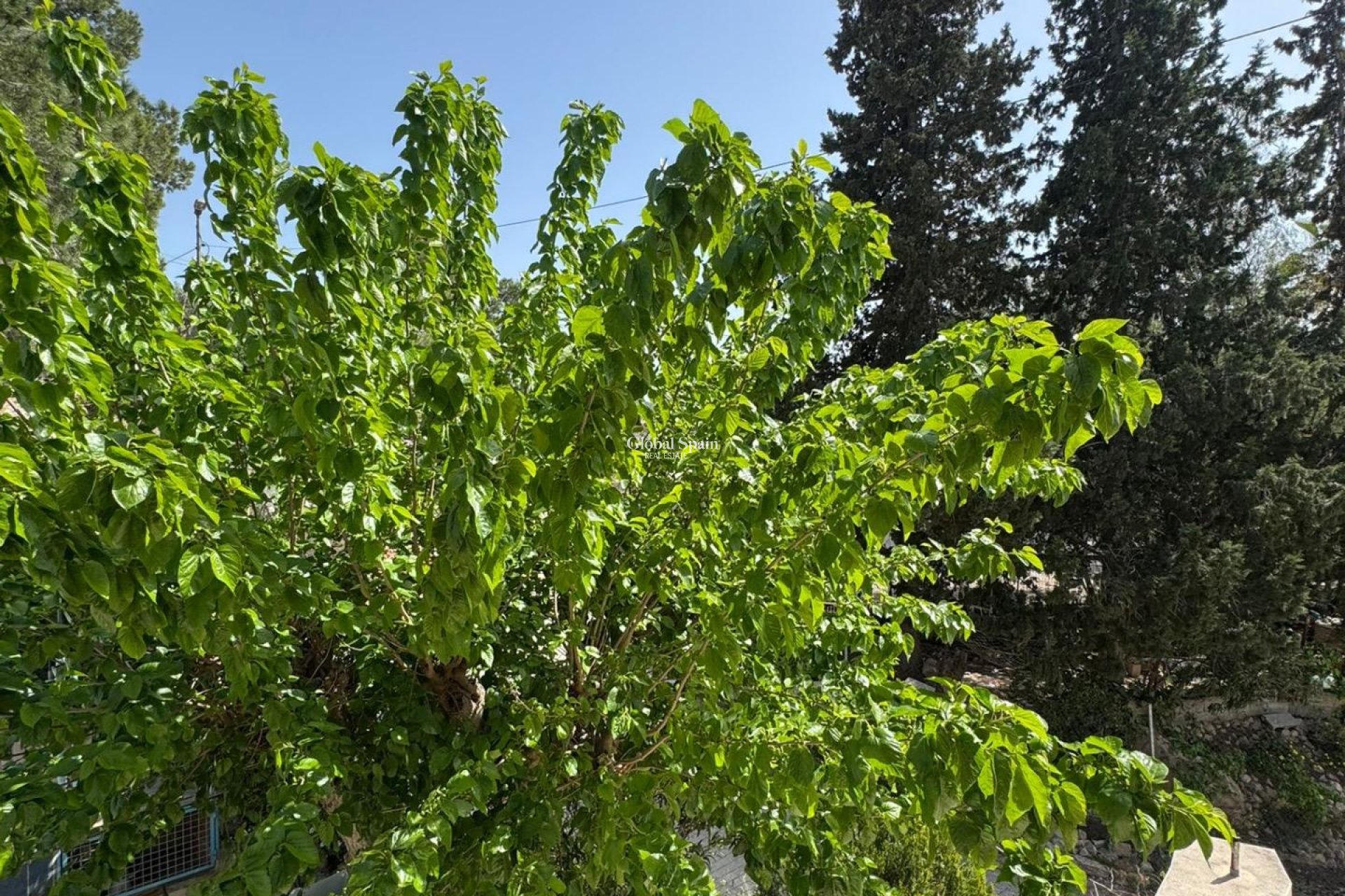 Revente - MAISON -
ORIHUELA - Arneva