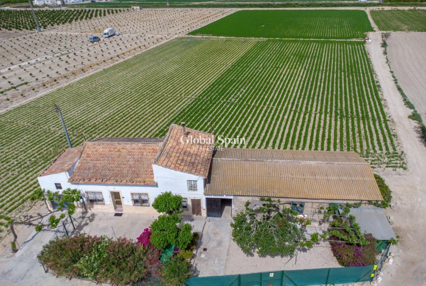 Revente - MAISON -
ORIHUELA - Desamparados-hurchillo-torremendo