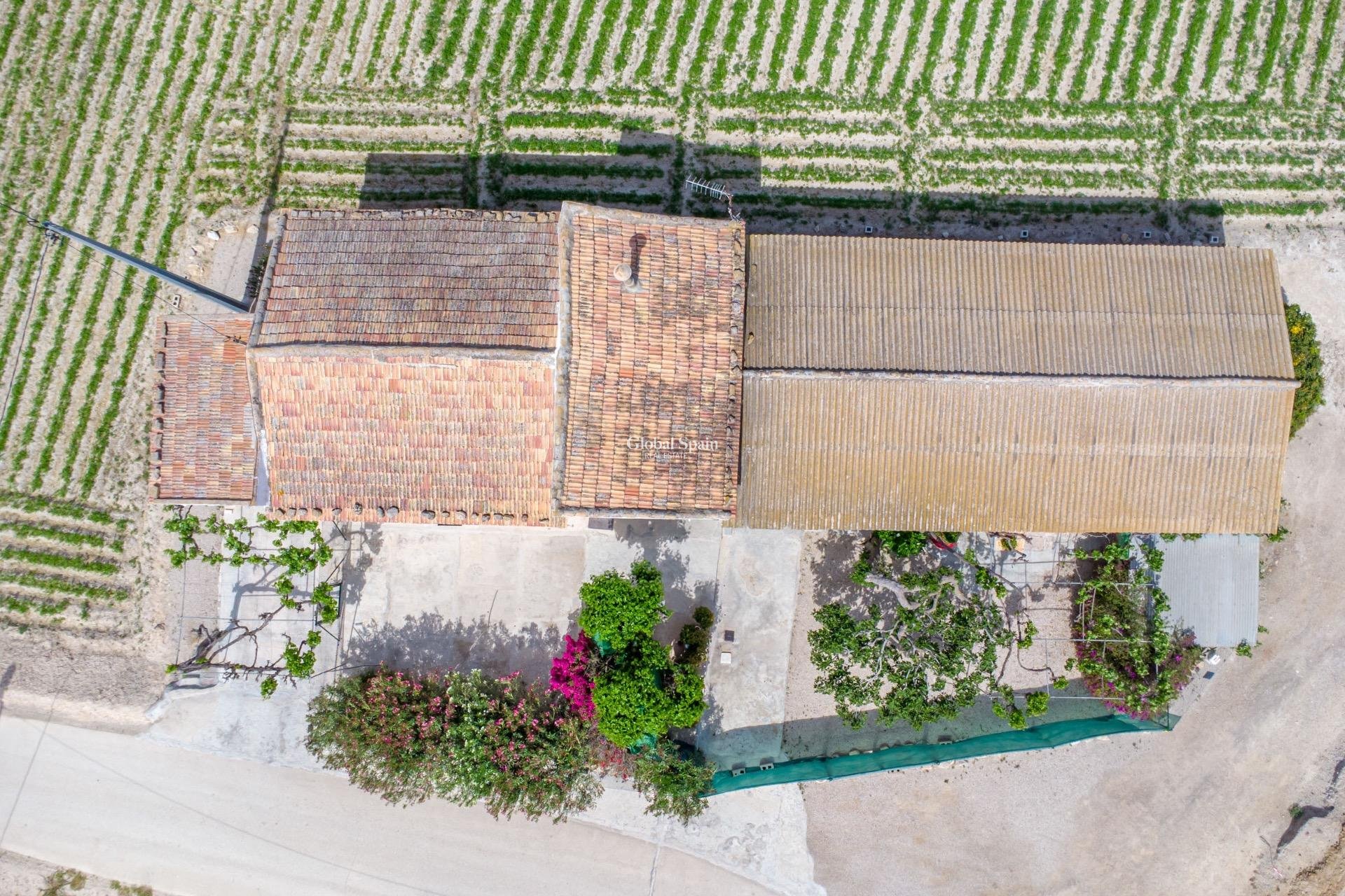 Revente - MAISON -
ORIHUELA - Desamparados-hurchillo-torremendo