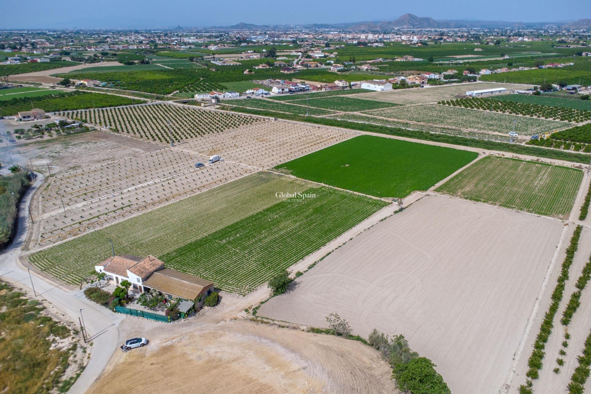 Revente - MAISON -
ORIHUELA - Desamparados-hurchillo-torremendo