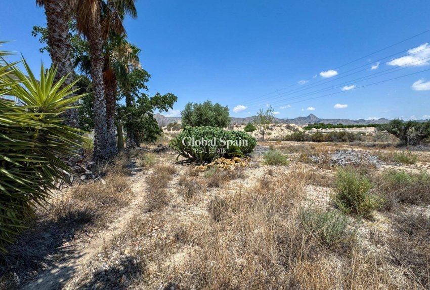 Revente - MAISON -
ORIHUELA - Inland