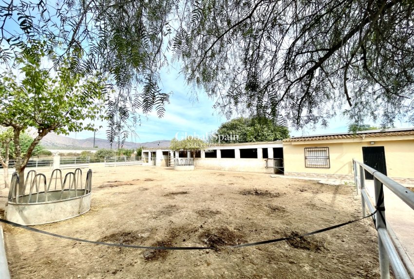 Revente - MAISON -
ORIHUELA - Inland