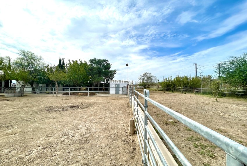 Revente - MAISON -
ORIHUELA - Inland