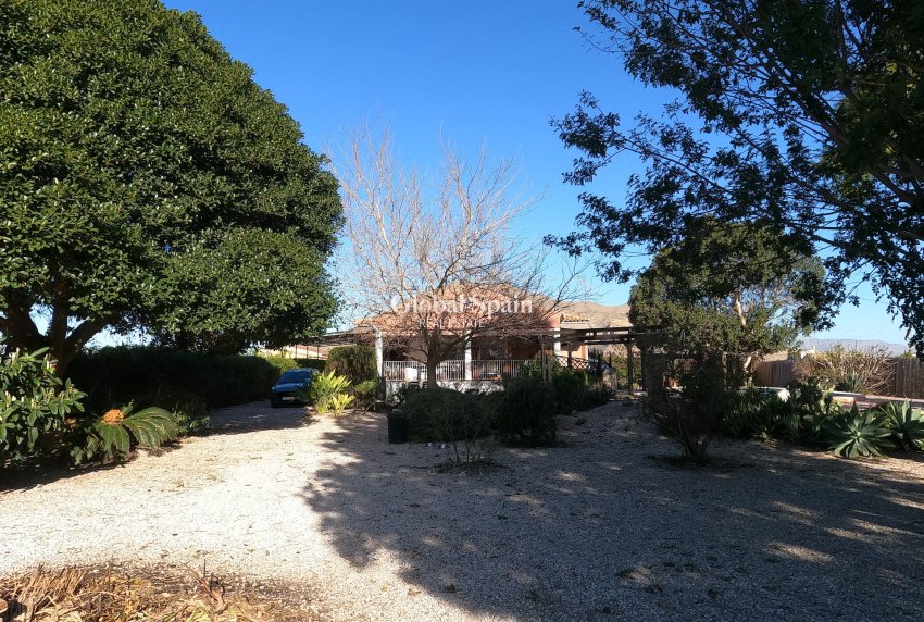 Revente - MAISON -
ORIHUELA