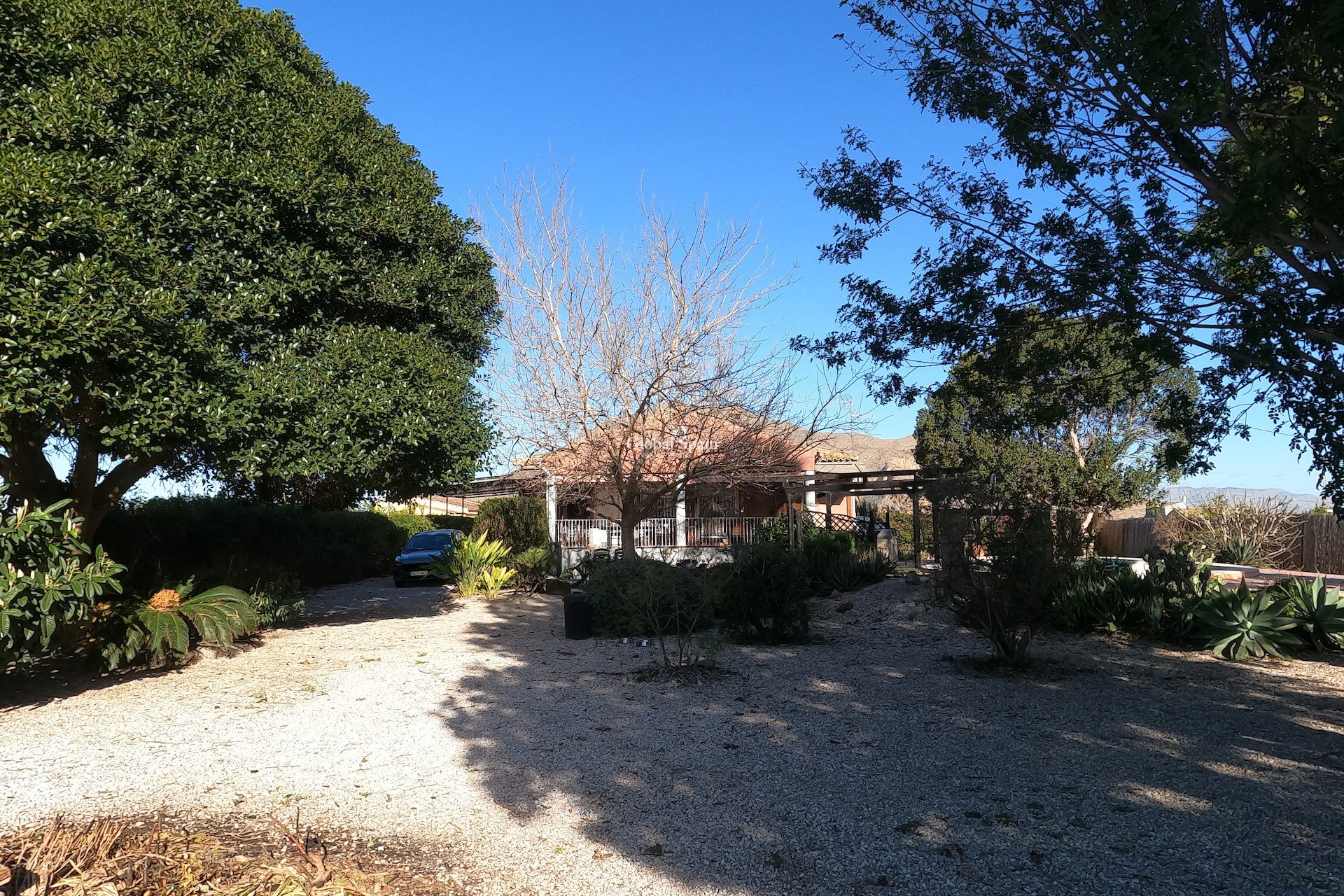 Revente - MAISON -
ORIHUELA