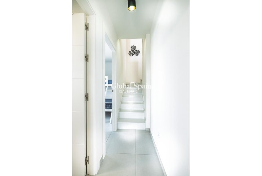 Revente - Maison Quadruple -
TORREVIEJA - Aguas Nuevas