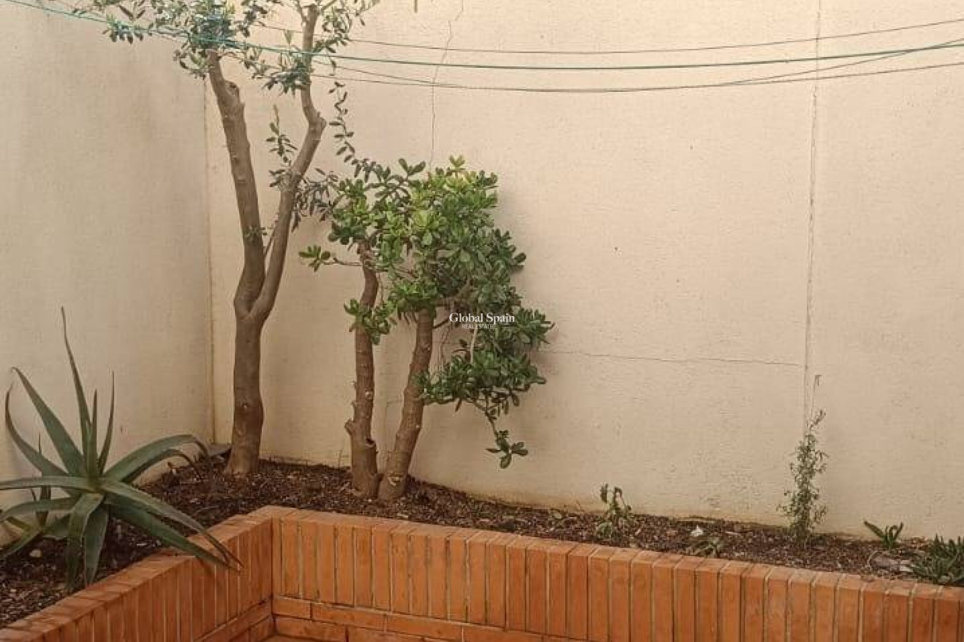 Revente - MAISON -
SAN PEDRO DEL PINATAR - Los Peñascos-el Salero-los Imbernones