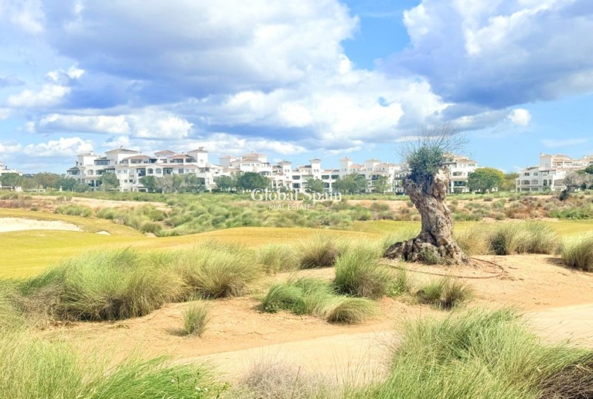 Revente - MAISON -
SUCINA - Inland