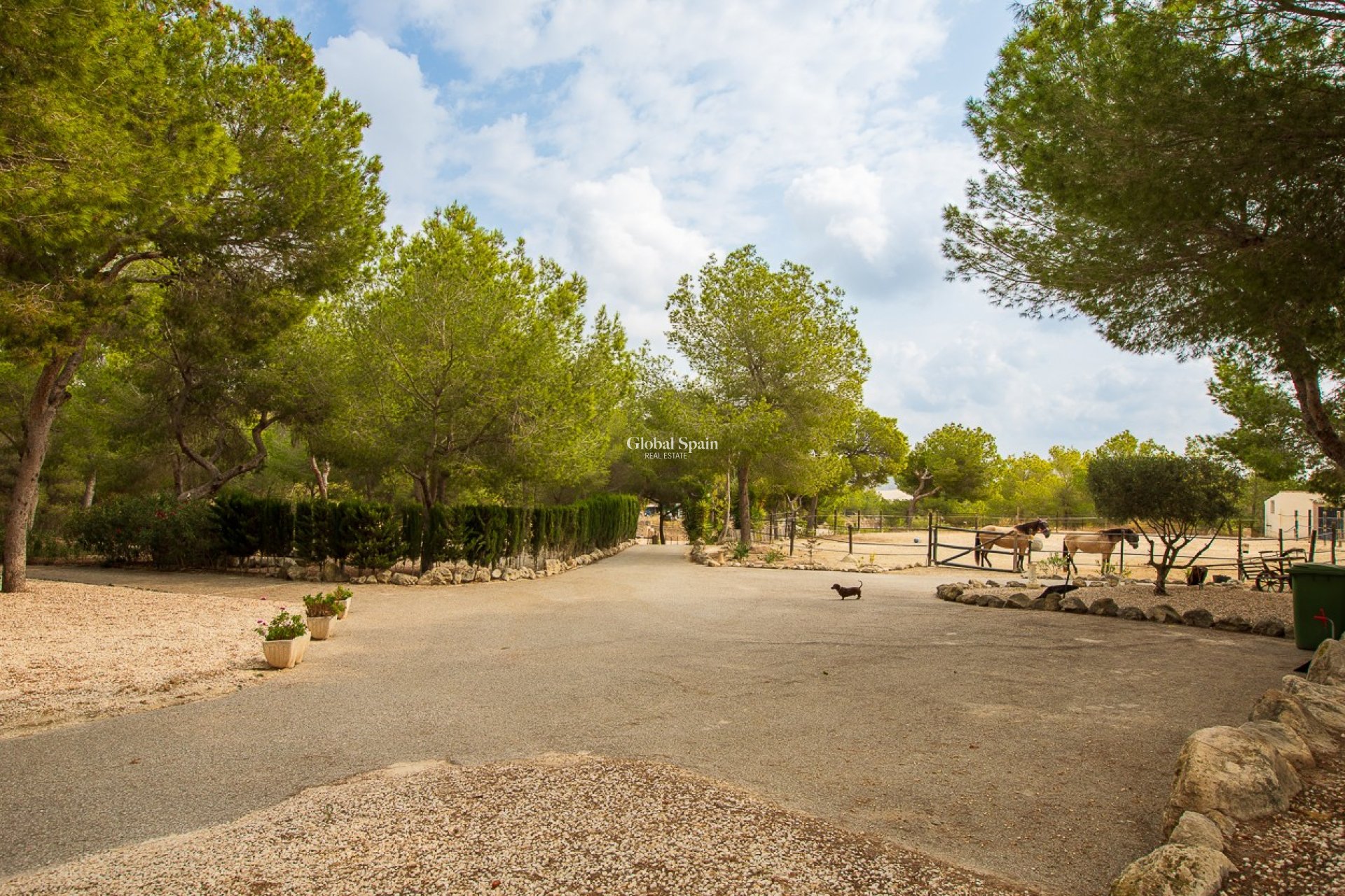 Revente - MAISON -
TORREMENDO - Costa Blanca