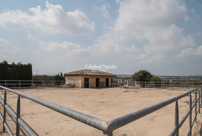 Revente - MAISON -
TORREMENDO - Torremendo