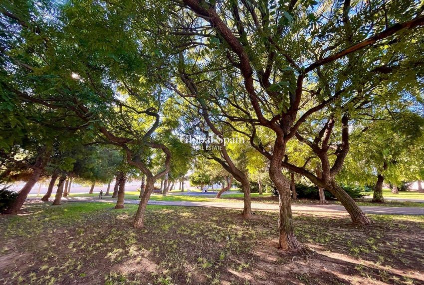 Revente - MAISON -
TORREVIEJA - Calas blanca
