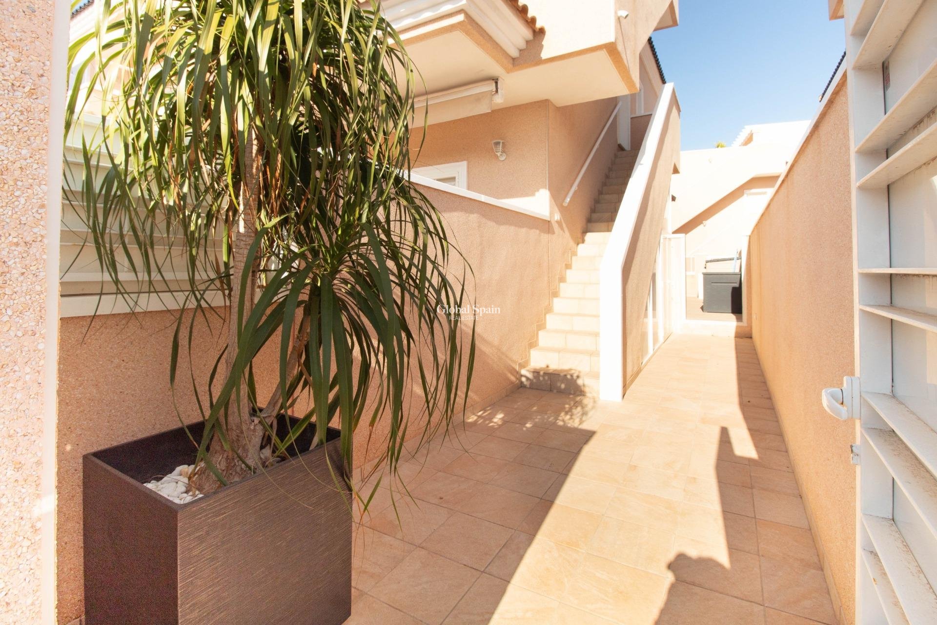 Revente - Maison -
TORREVIEJA - Punta prima