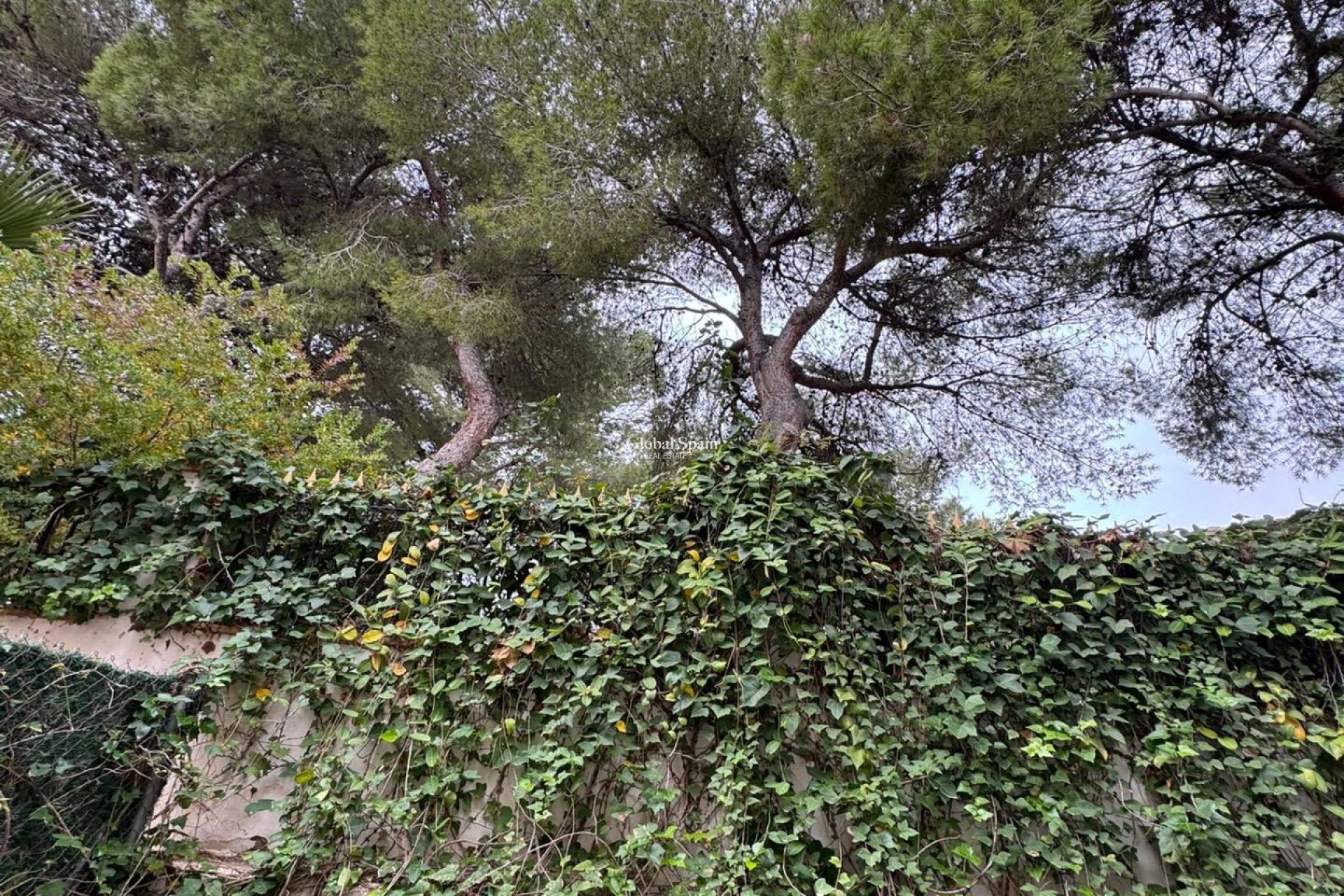 Revente - MAISON -
TORREVIEJA - Punta Prima