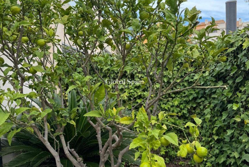 Revente - MAISON -
TORREVIEJA - Punta Prima