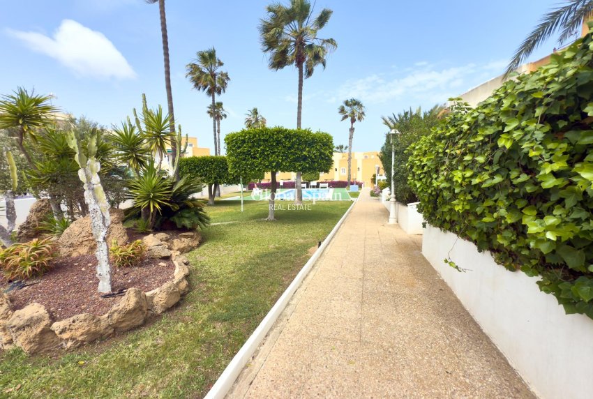 Revente - Maison -
TORREVIEJA - Torreblanca